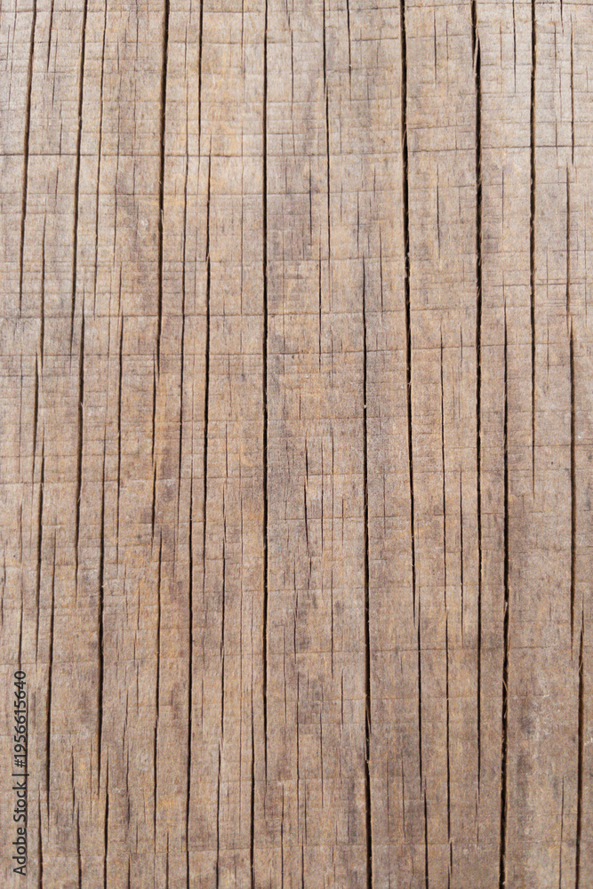 Obraz premium Weathered Wood Texture Background