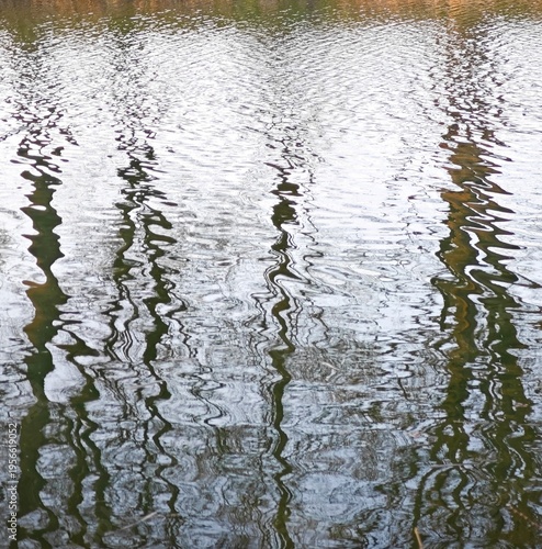 reflection in water