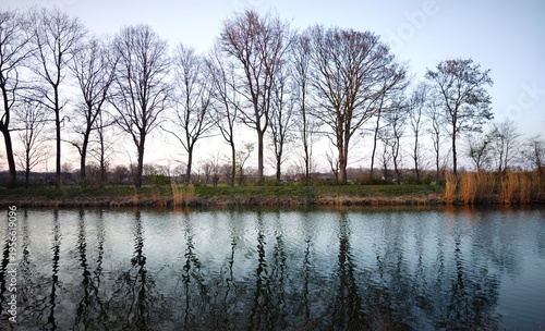 reflection in the water
