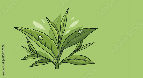 A vibrant illustrative depiction of cannabis leaves with water droplets against a solid green background silhouette high quality professional detailed modern