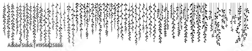 Φωτογραφία Hanging Vines and Weeping Willow Branches Illustration Hand Drawn Botanical Bord
