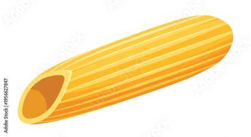 A single piece of penne pasta is shown against a white background.