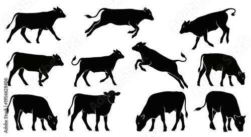 Silhouette collection of cattle poses on white background