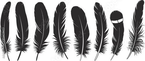 Feather silhouette illustration, eight diverse designs with smooth, frayed, curved, and patterned styles, bird morphology theme, vector art, black isolated bold design