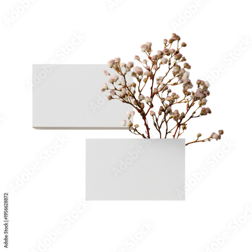 White Rectangles and Dried Flowers on a Flat Surface for Creative Display