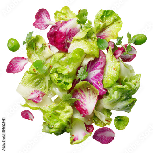 Fresh Salad Ingredients Mix With Greens and Herbs on a White Background