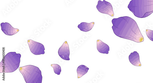 Colorful floral petals pattern with delicate gradient on white background