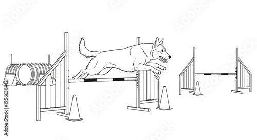 Energetic dog jumping over hurdle in competition