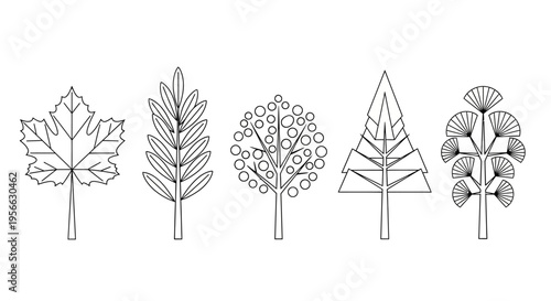 Minimalist line art trees collection featuring unique geometric designs