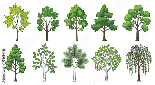 Collection of various trees in detailed cartoon style with green foliage