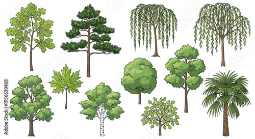 Diverse array of trees in detailed hand-drawn style for nature-themed projects