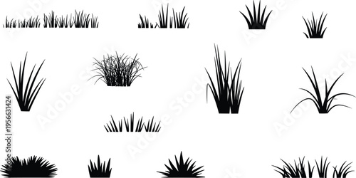Grass silhouette illustration, diverse tufts in multiple styles from short dense to tall sparse designs, landscaping and botanical theme, vector art, black isolated bold design