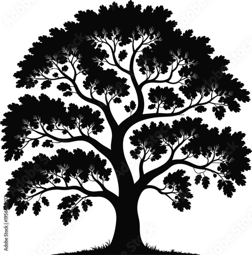 Tree silhouette illustration, detailed design with thick trunk, spreading branches, and leafy canopy on grassy ground, botanical nature theme, vector art, black isolated bold design