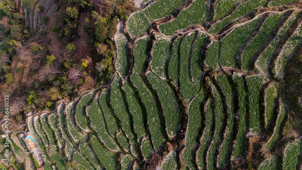 Fototapeta premium Top-down aerial view of Sainji corn village near Mussoorie, Uttarakhand, showing terrace farms and village houses forming abstract patterns on misty Himalayan slopes in winter.