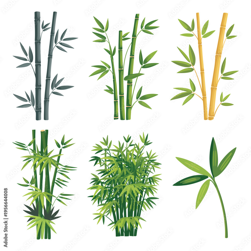 Naklejka premium Bamboo leaves and branches vector illustration isolated on white background with a natural zen tropical style