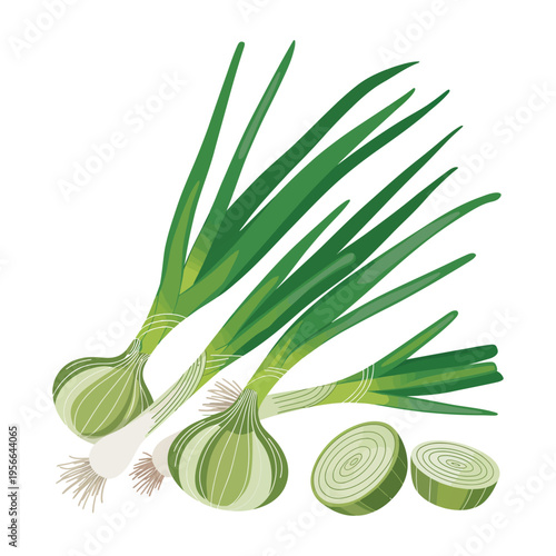 Fresh green onion isolated on white background with healthy spring vegetable leaves and bulb