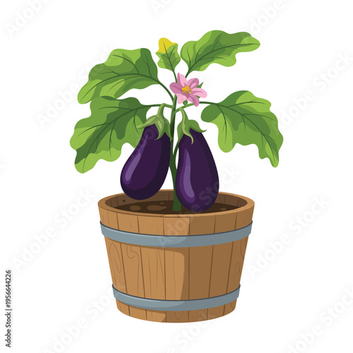Purple eggplants in baskets and pots with green leaves and flowers in a garden setting