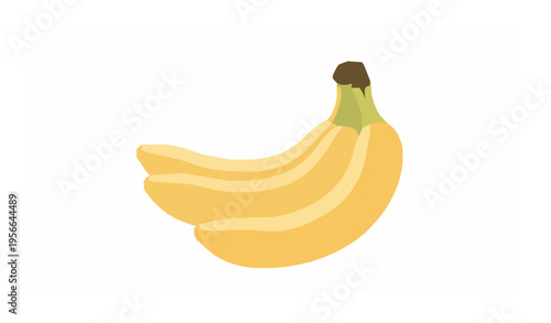 Banana bunch top view close up vector illustration fresh tropical fruit isolated on white background clipping path