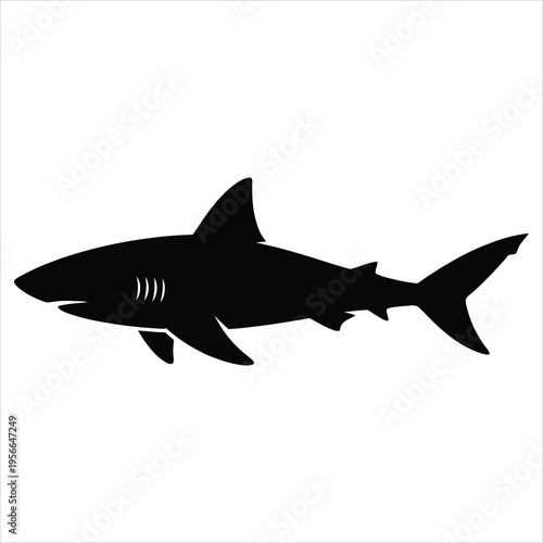A black silhouette of a shark on a white background