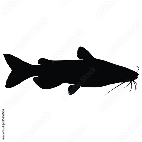 A black silhouette of a catfish on a white background