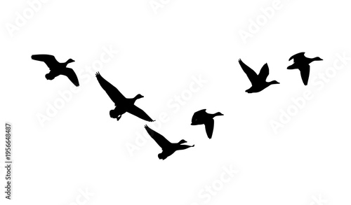 Minimal flying duck silhouette icons in simple flock arrangement vector illustration isolated on white background