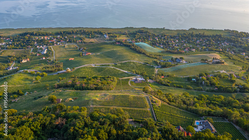 Photos Panorama view of vineyards at Badacsony in Hungary