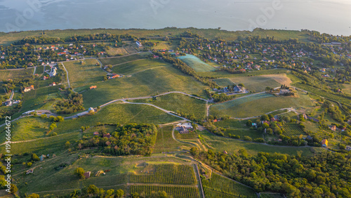 Photos Panorama view of vineyards at Badacsony in Hungary