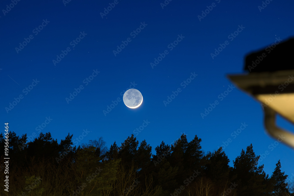 Fototapeta premium Full moon over the dark forest