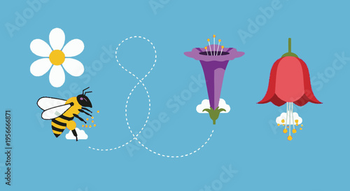 Bee pollinating colorful flowers vector illustration. Nature's pollination process with daisy and bell flowers on blue background.