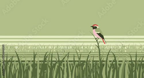 Vibrant wild bird with pink and red plumage perching on a delicate branch amidst tall green grass, minimalist nature illustration.