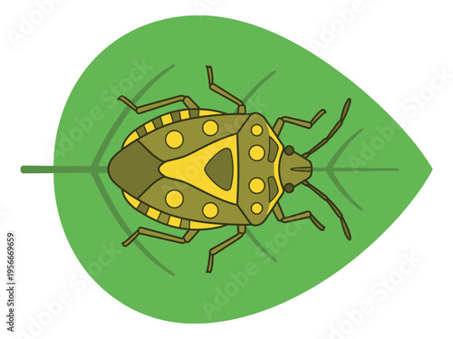 Cartoon illustration of stink bug on leaf depicting insect pest for entomology and nature design