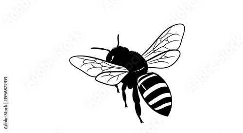 A black and white illustration of a bee.