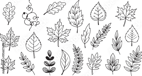 Sketchy Botanical Leaf Vector Set – Hand-Drawn Leaves Vines Black Ink Isolated Elements