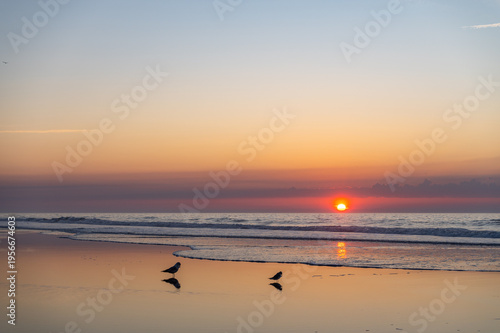 Two Birds on Beach at Sunrise