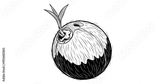 Black and white fruit drawing.