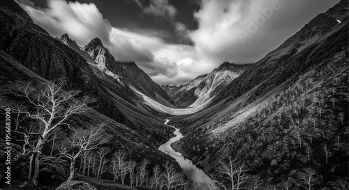 Black and white mountain landscape.
