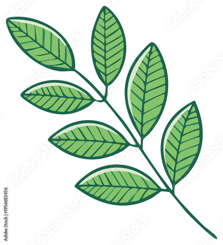 Stylized Green Leaf Branch with Veins and Outline