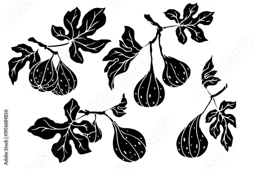 A set of silhouettes and stamps of fig tree branches with figs. Vector graphics.