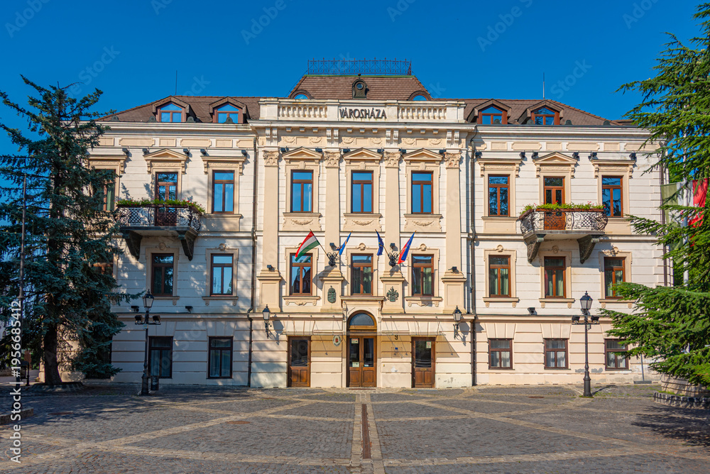 Fototapeta premium Town hall in Hungarian town Veszprem