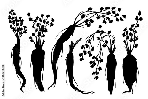 A set of decorative vegetable silhouettes, carrot root vegetable stamps. Vector graphics.