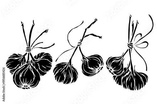 Set of vegetable silhouettes and stamps, garlic root vegetable. Vector graphics.