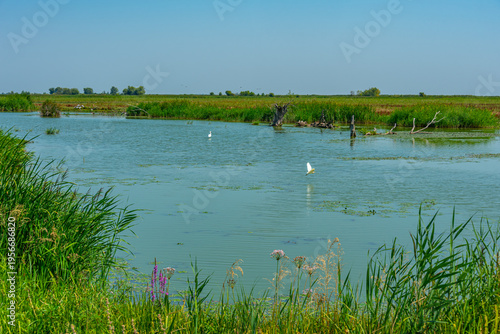 Принти на полотні Hortobagy fishponds during a summer day in Hungary