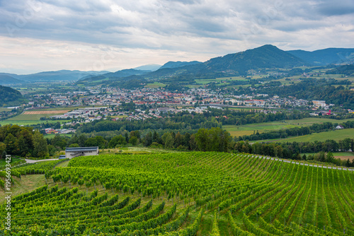 Canvas Print Taggenbrunn wine estate in Austria