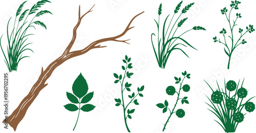 Wild Grass and Branch Silhouette Vector Set – Natural Plants Color Minimal Icons