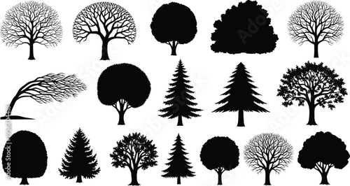 Collection of various tree silhouettes including oak pine and bare winter branches in black vector style isolated on white background for landscape design