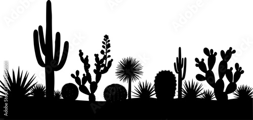 Silhouette desert landscape with various cacti and succulents on white background Keywords: desert, cactus, succulent
