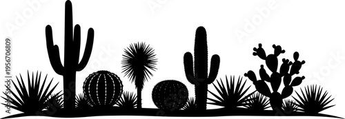 Silhouette desert landscape with various cacti and succulents on white background Keywords: desert, cactus, succulent

