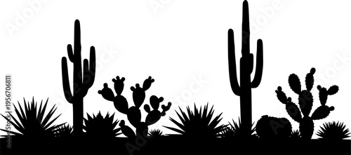 Silhouette desert landscape with various cacti and succulents on white background Keywords: desert, cactus, succulent
