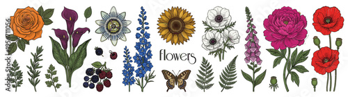 Collection of various hand drawn vintage botanical flowers including rose sunflower poppy and anemone isolated on white for garden themed floral design projects banner