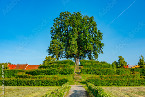 strawberry hills at the Flower garden at Kromeriz, Czech republi